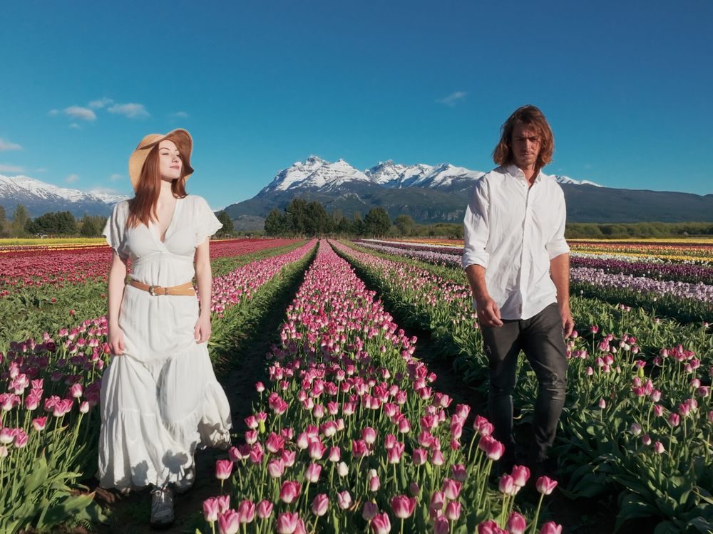 Campo de Tulipanes de Trevelin